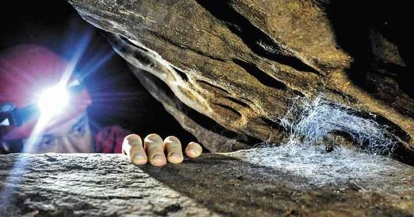 Descoberta em Lagoa Santa e Pedro Leopoldo revolucionou conceitos no mundo
