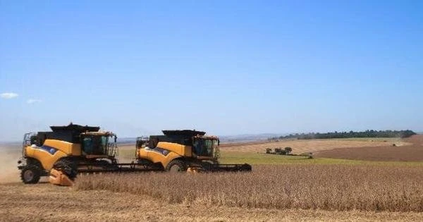 MG inicia trimestre com 15% a mais de intenes de perspectivas de empregos