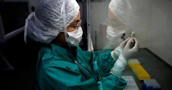 COVID-19: Brasil terreno frtil para a desinformao