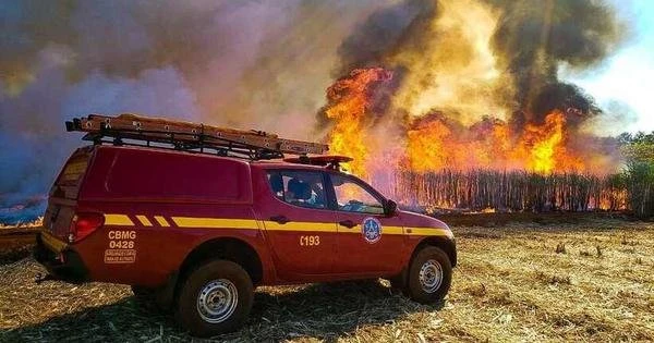 Aumento de casos de incndios florestais liga sinal de alerta em Minas