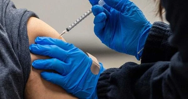 COVID-19: Anvisa autoriza estudo sobre dose de reforo da vacina da Pfizer