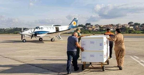 862 mil doses da vacina AstraZeneca so distribudas para cidades mineiras