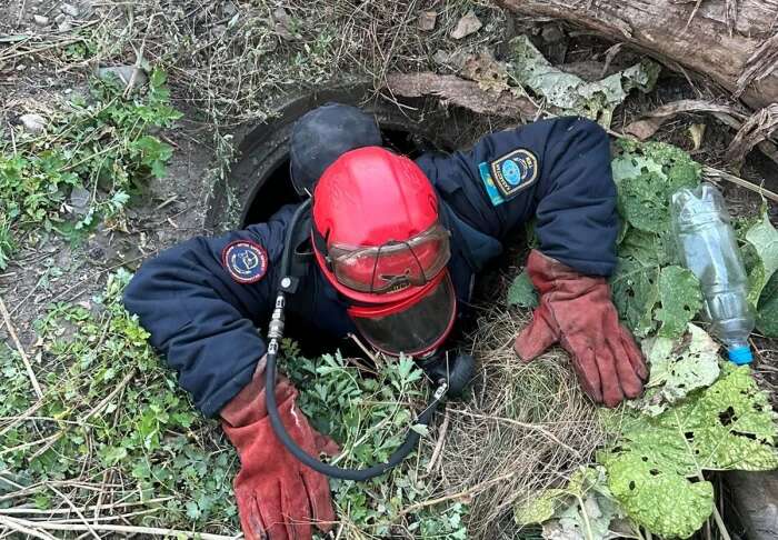 Упавшему в колодец щенку помогли в Усть-Каменогорске