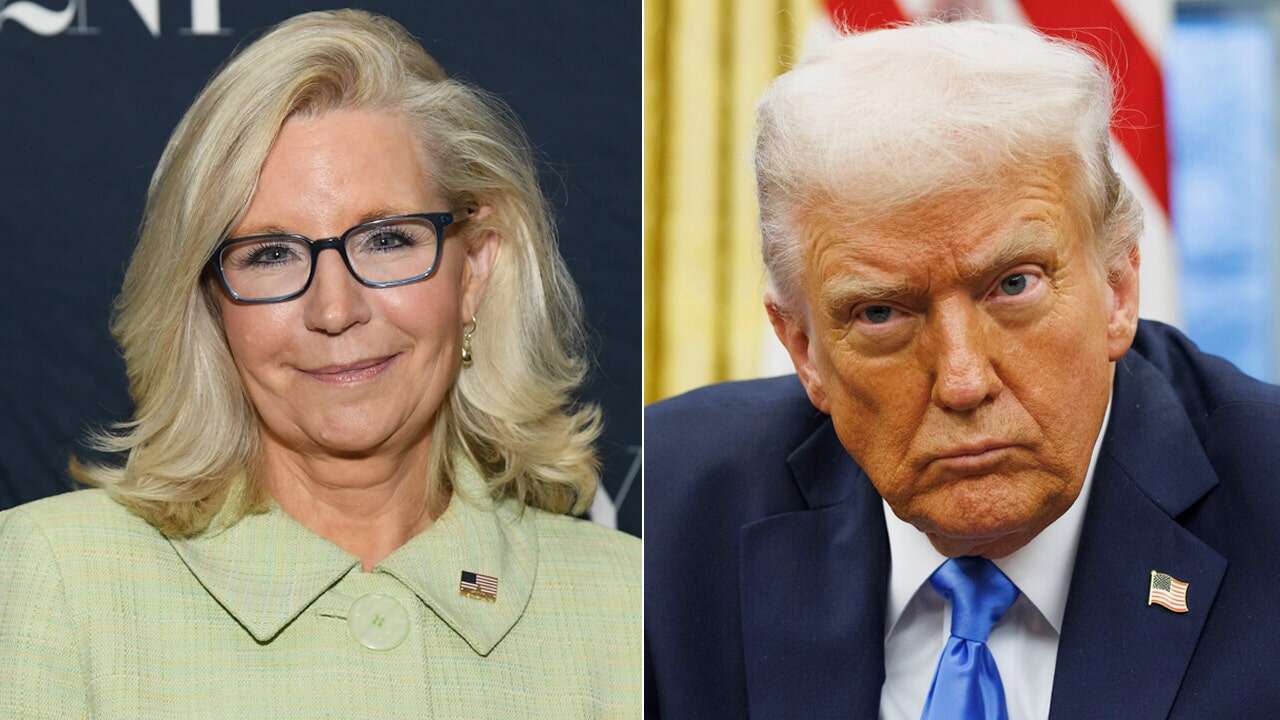 Liz Cheney lambastes Trump over Russia/Ukraine, branding him 'the antithesis' of all 'Reagan stood for'