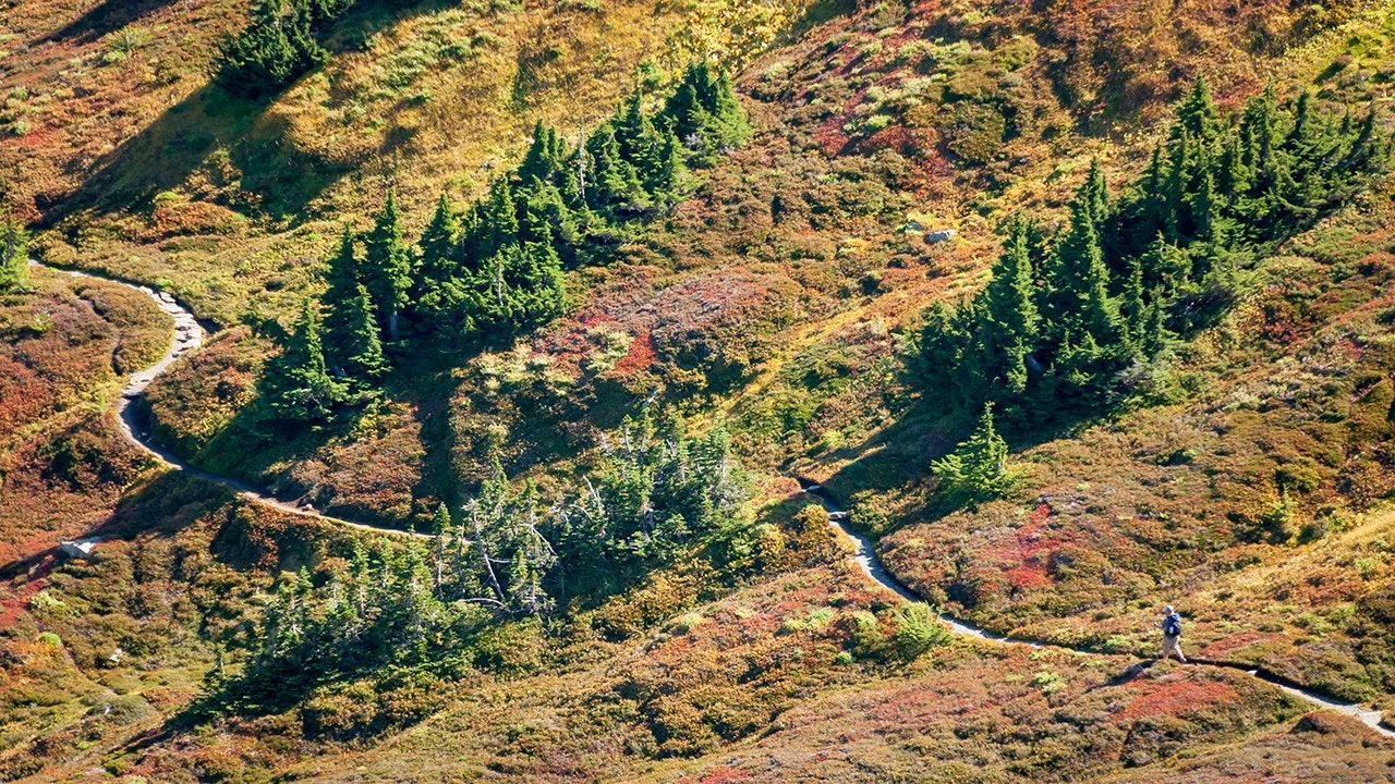 Major Washington highway reopens following wildfire in North Cascades National Park