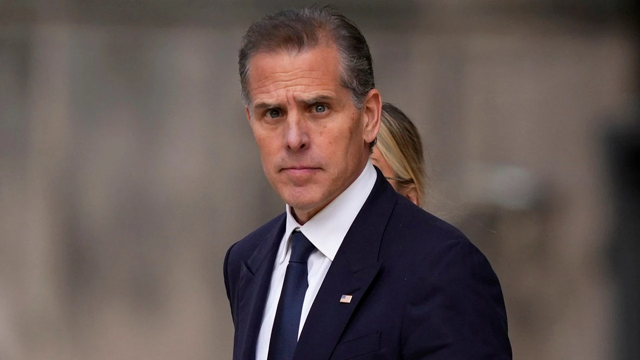 Hunter Biden's defense team in historic criminal trial likely 'banking on' hung jury: expert