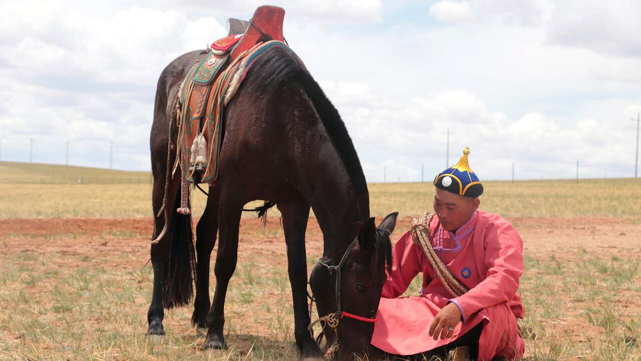 New study reveals how humans harnessed the lineage of ancient horses, scientists say