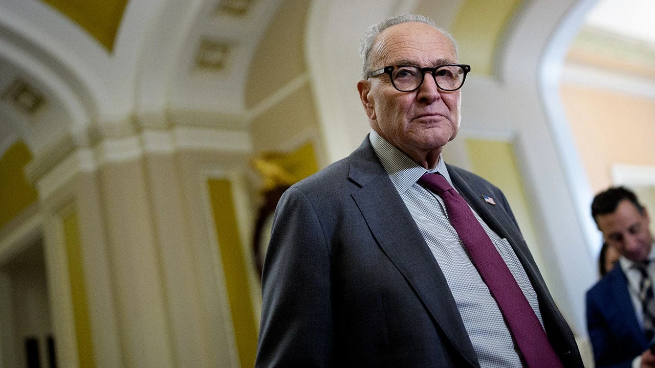New York Republicans blast Schumer, Gillibrand over shutdown: ‘You’ve abandoned your responsibility’