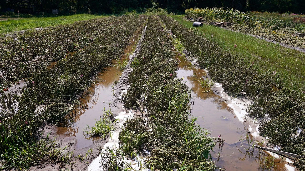 Vermont farmers become eligible for emergency loans after USDA designates summer flooding a disaster