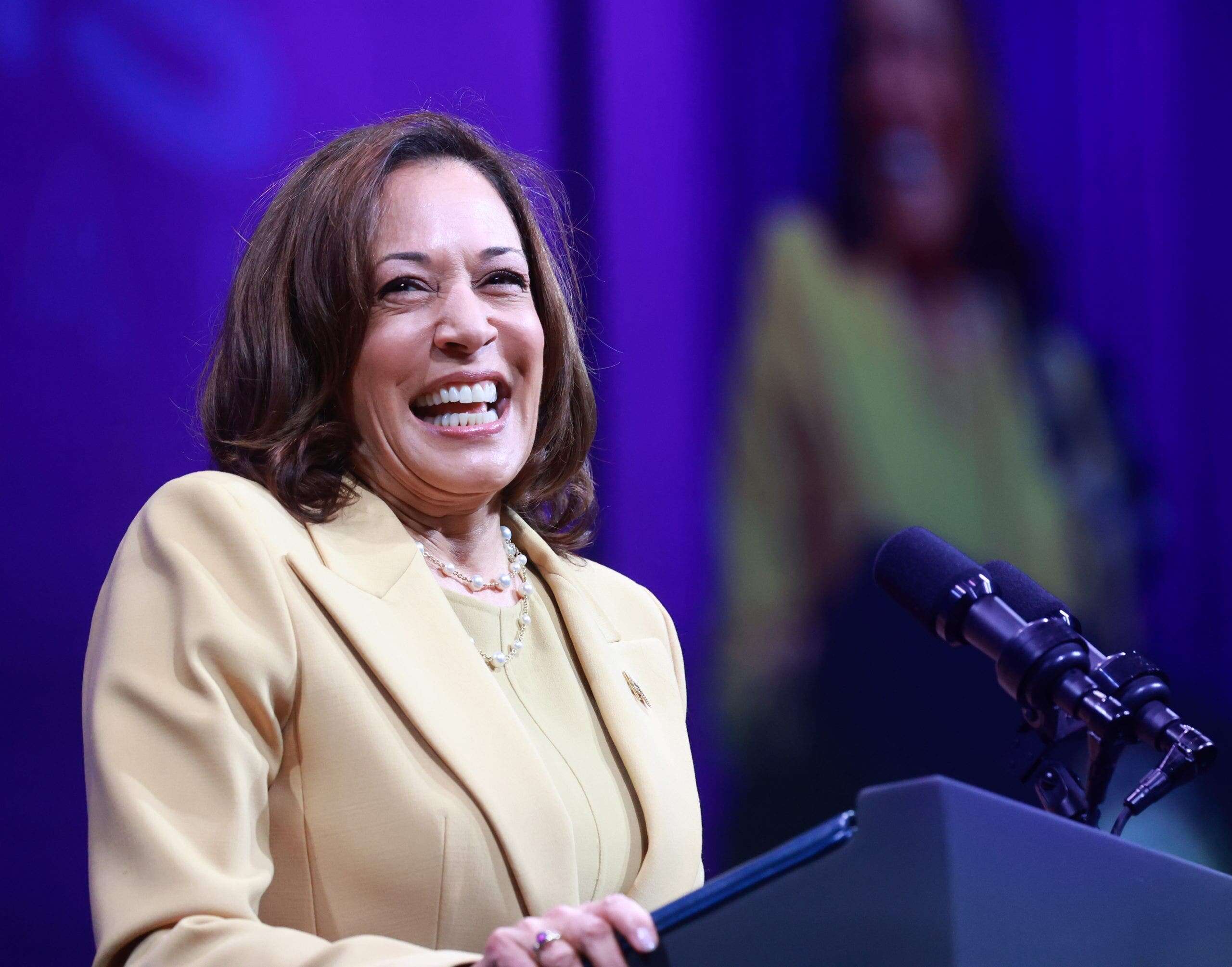 Harris tells African church conference 'we are not going back' as its leaders voted to ban gay marriage