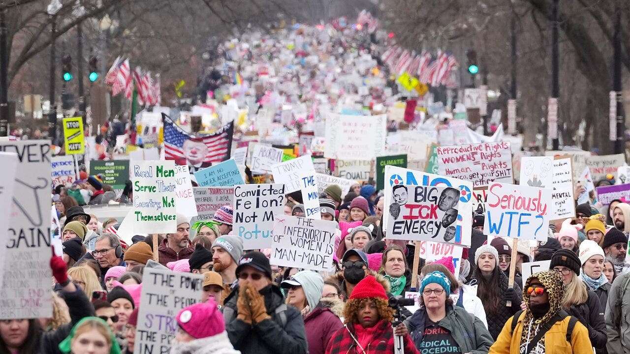 Thousands of left-wing demonstrators descend on Washington to protest Trump inauguration