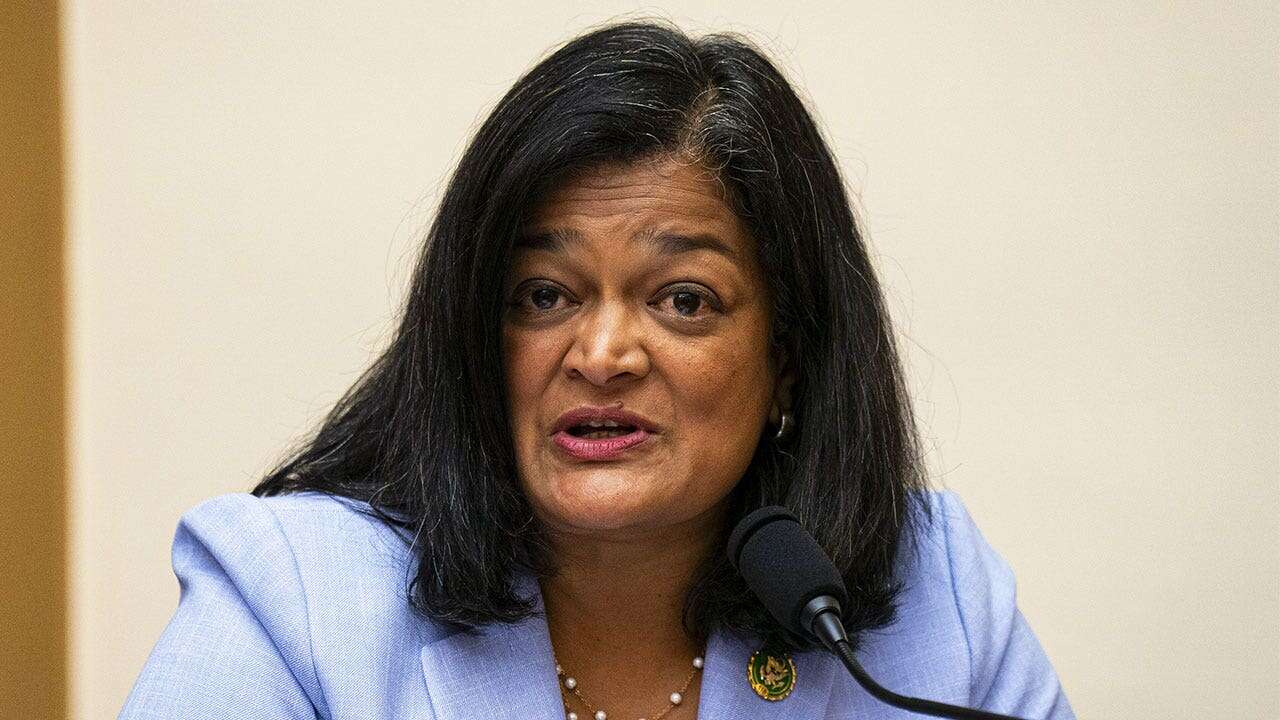 Rep. Jayapal slammed for telling Americans to 'think about who picked' their food in anti-deportation remarks