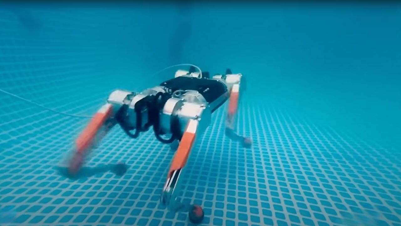 Robot dog is making waves with its underwater skills