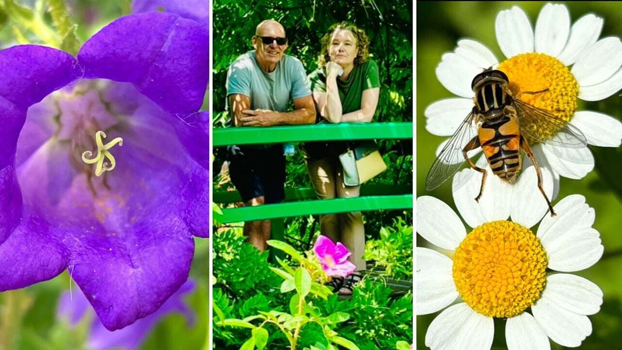 Gardens outside Paris make spectacular impression on tourists as flowers turn heads and calm souls