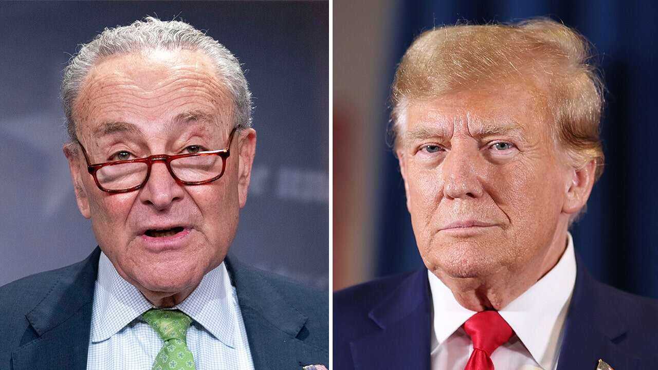 Shutdown averted after Schumer caves and backs Trump spending bill