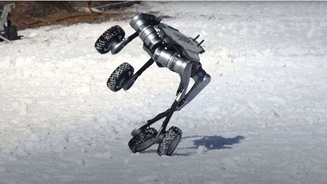 Wheeled wonder robot dog shows off crazy dance moves in all kinds of tough terrain