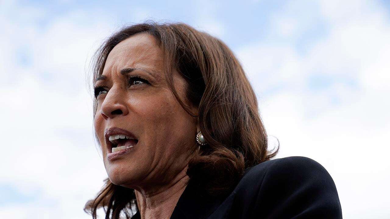 Dearborn’s anti-Biden activists won’t rubber-stamp president’s Harris endorsement