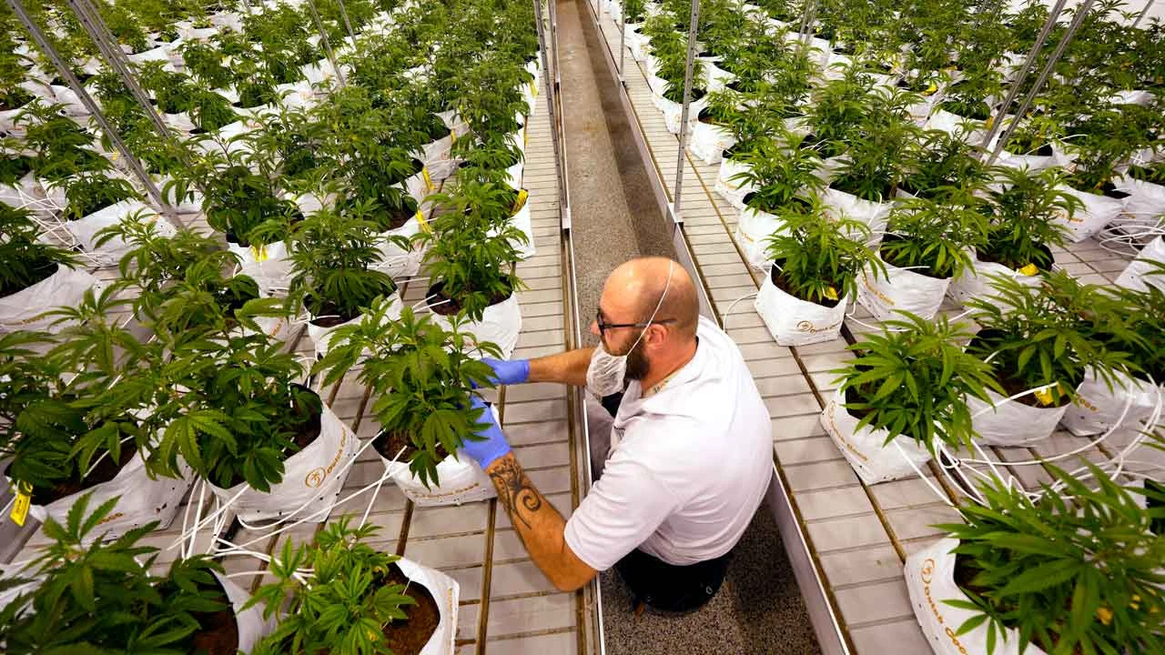 Missouri follows Maryland in approving recreational marijuana