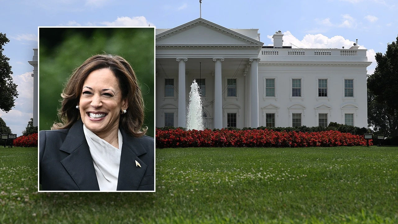 Harris launched 'dark-arts operation' against opponents for VP spot in 2020, new book claims