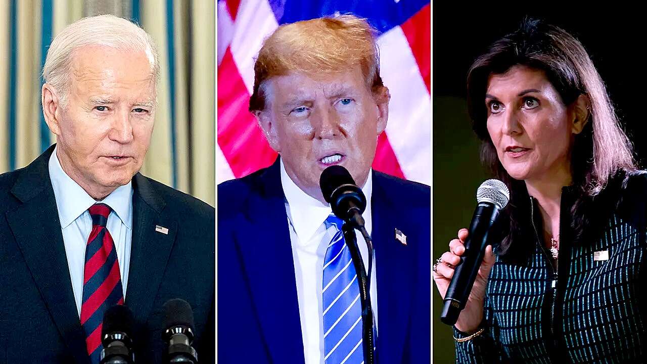 Wealthy Nikki Haley donors launch effort to boost Biden over Trump: report