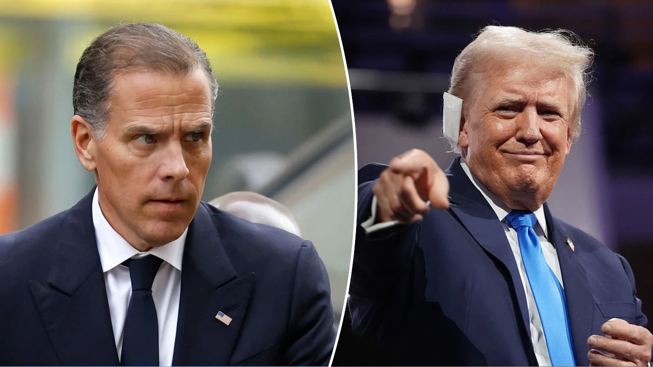 Hunter Biden could mount a successful White House bid given recent Democrat picks: Trump
