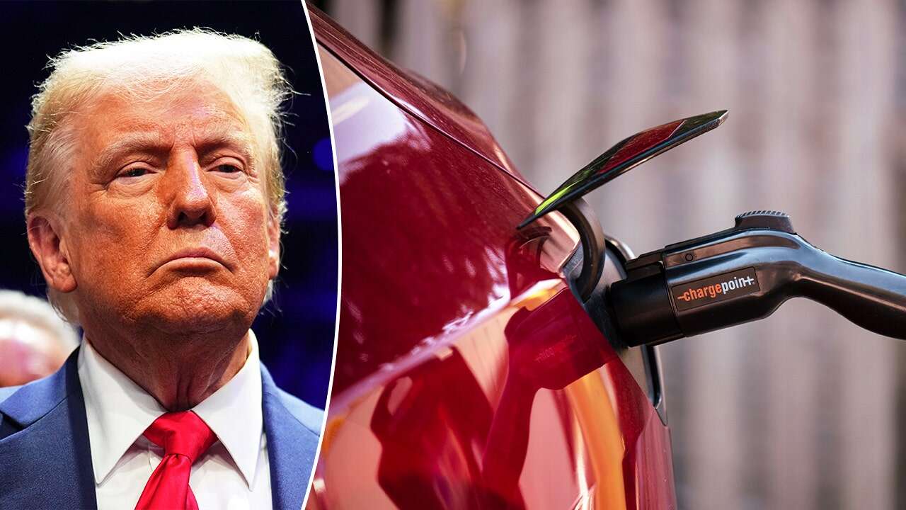 Trump's cut to Biden's EV tax credit, backed by Musk, may impact auto industry, experts say