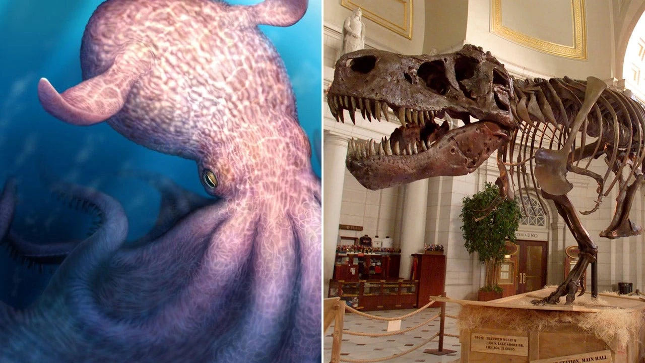 'Gigantic' ancient octopus used jaws to crush prey and hunted alongside the dinosaurs 100M years ago: study