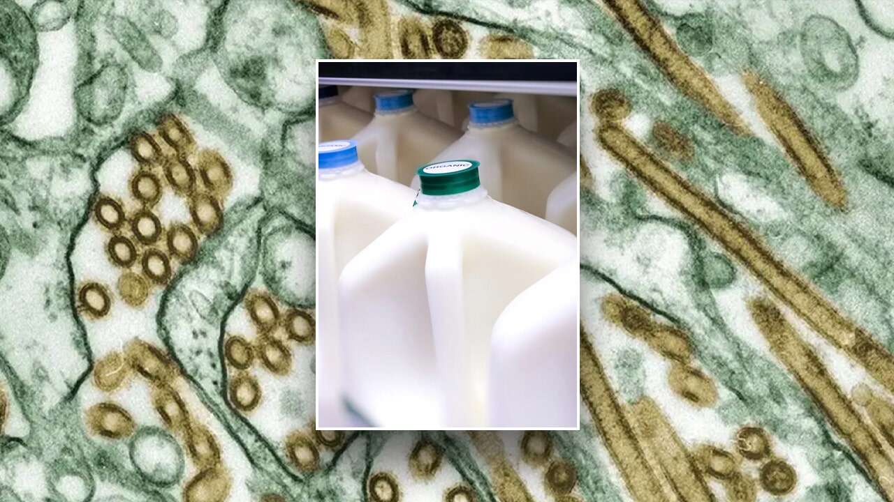 Bird flu found in Arizona dairy cattle milk after being first detected in neighboring Nevada