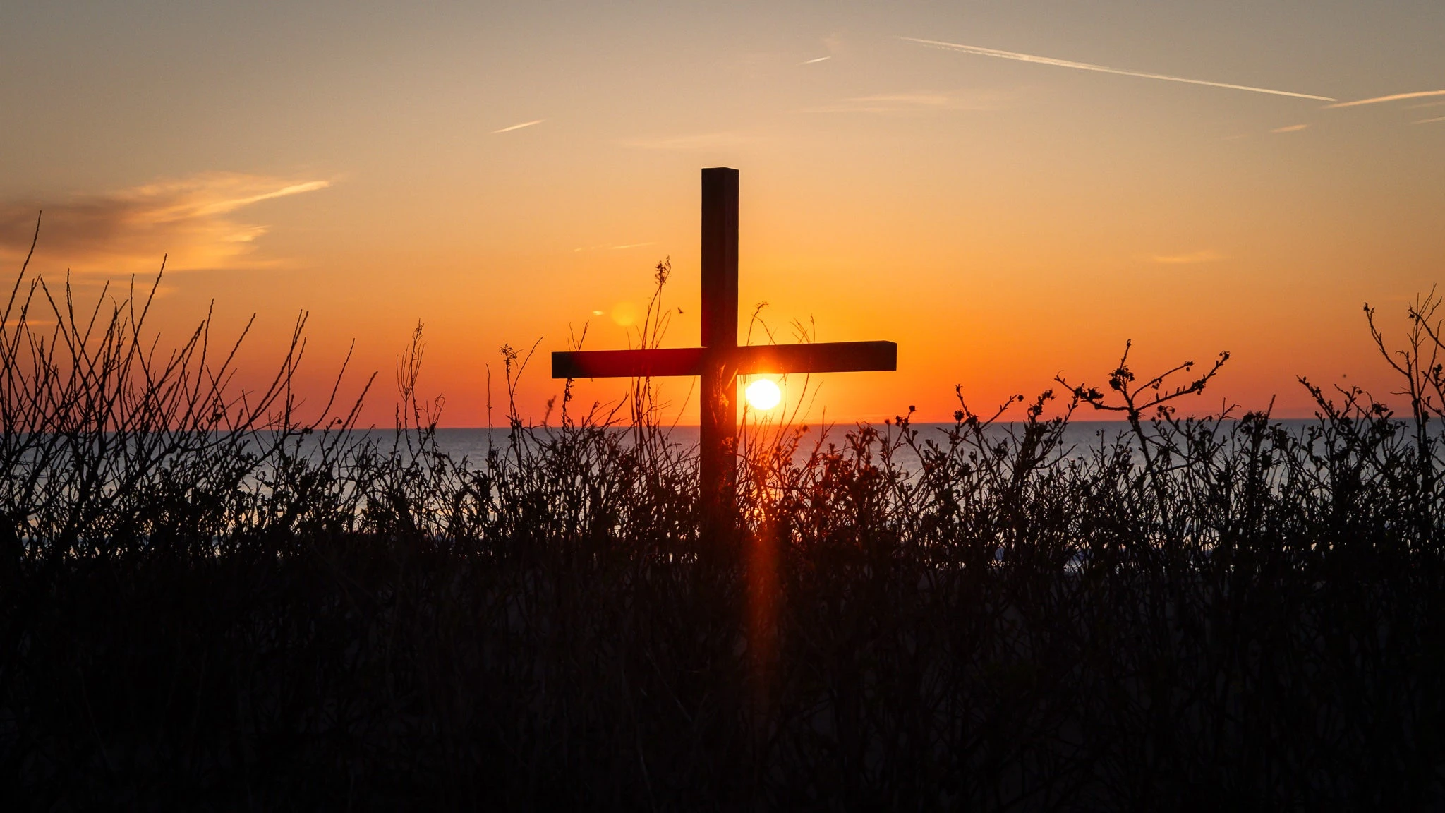 God can resurrect and restore what you think is lost and dead