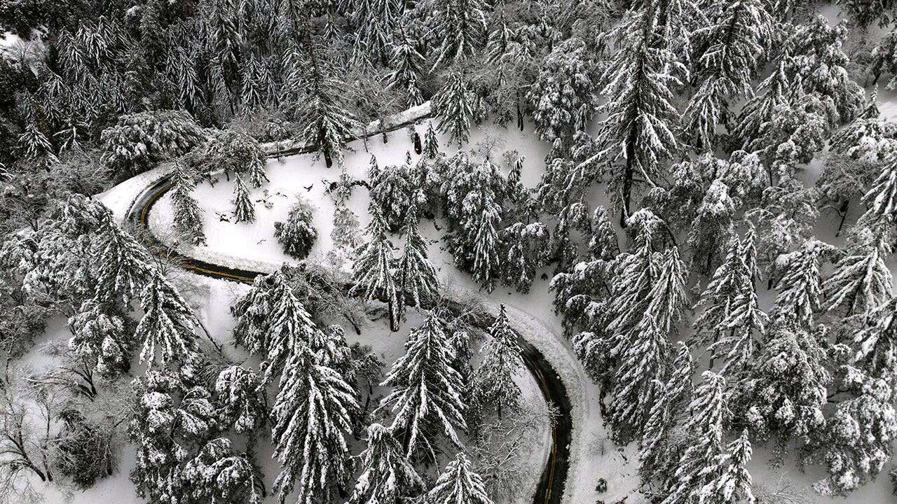 Half of CA no longer in drought after tremendous amount of rain, snow hit the state last year