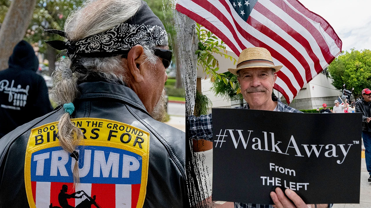 Dems drop $20M on bizarre 'American men' strategy plan study in effort to dig out of 2024 political hole