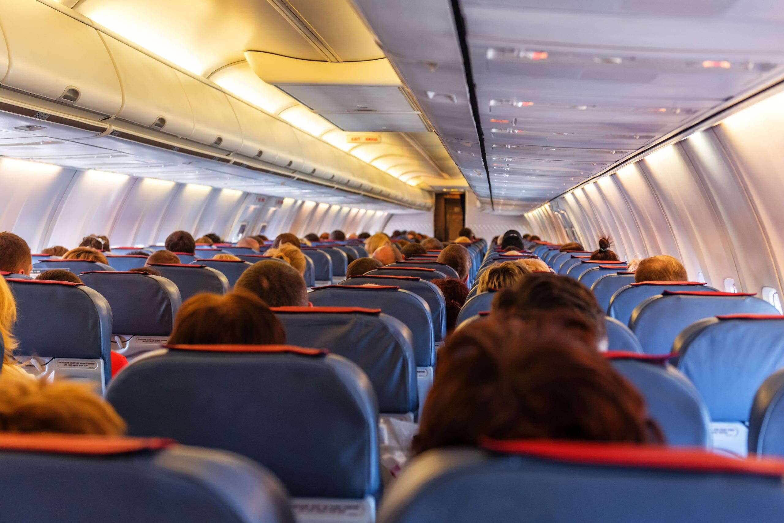 Airline passenger sparks viral debate about plus-sized seatmate issue