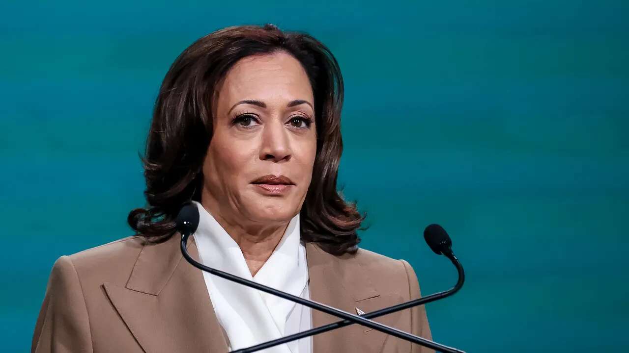 Dem lawmaker screams over Kamala Harris' holiday party speech, igniting response: 'Right now, I am speaking'