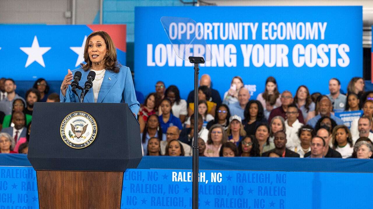 Conservative economists pour cold water on Harris' new small-business tax proposal