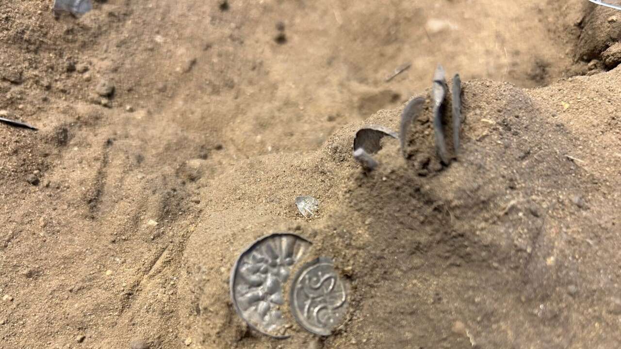 Girl finds Viking coins from over 1,000 years ago in Danish field: 'Incredibly exciting'