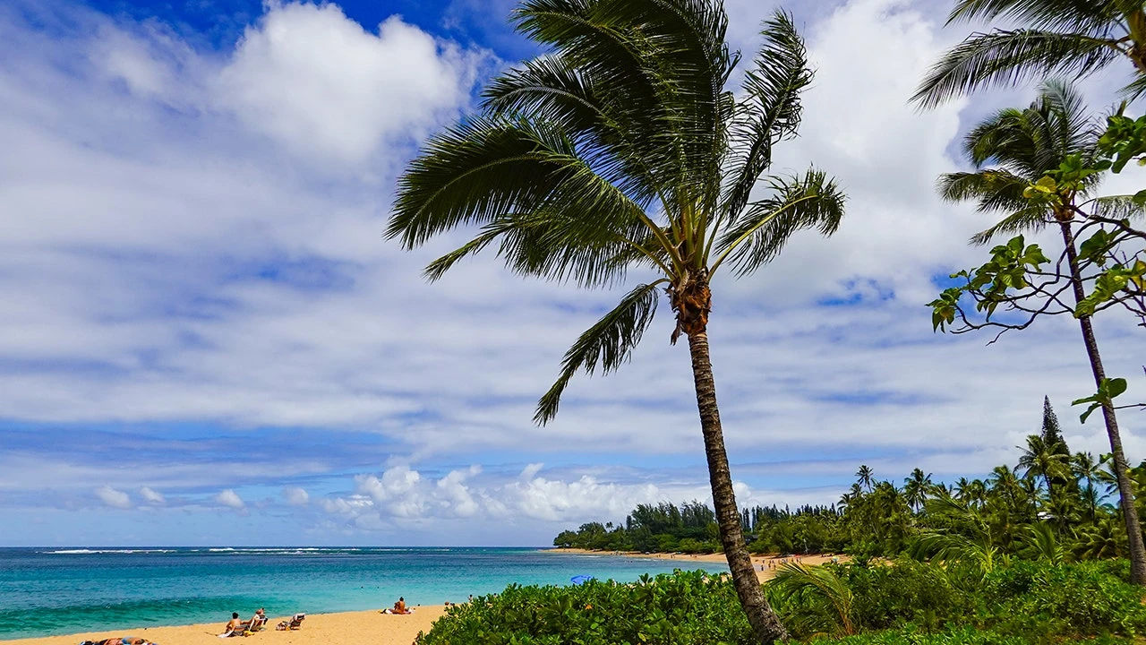 Hawaii cruise thrown into chaos after emergency at sea forces port change
