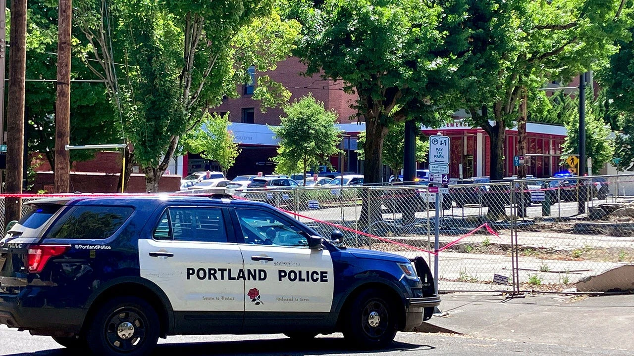 As nonfatal attacks at hospitals surge, experts say health care is now more dangerous than law enforcement