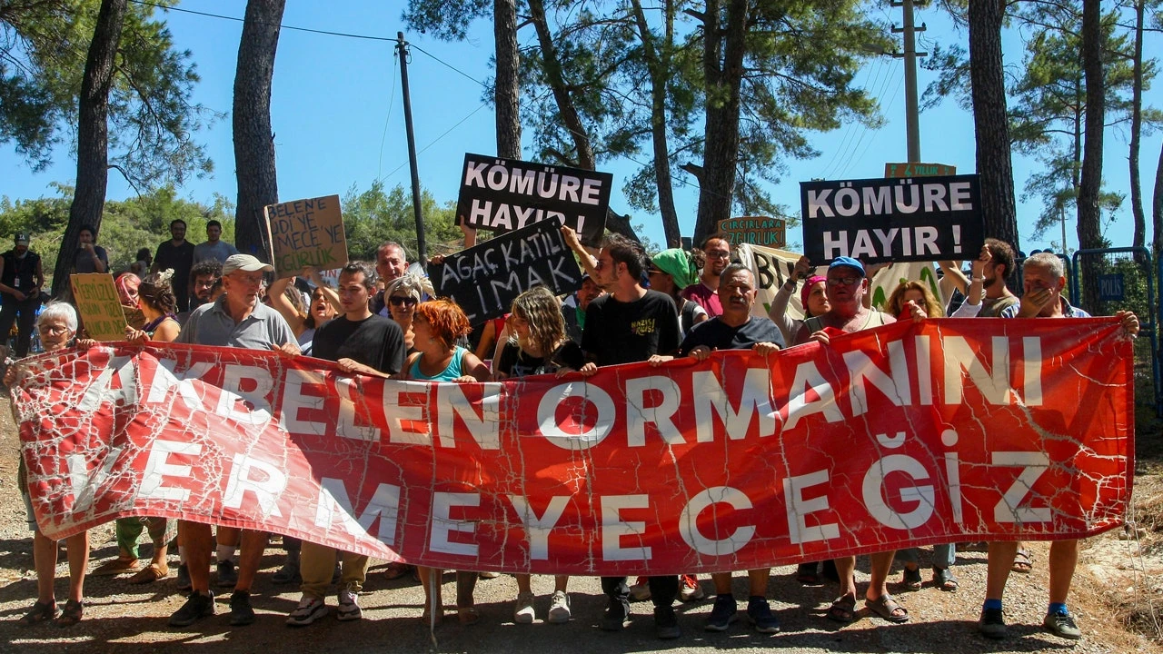 Environmental campaigners vow to persist as tree-felling for coal-mining in Turkish woodlands concludes