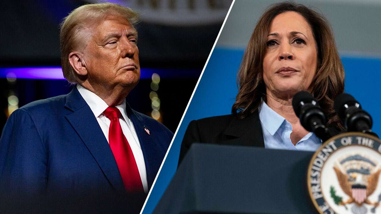 Trump-Harris race neck and neck nationally in new survey, pollster sees 'warning sign' for Dems