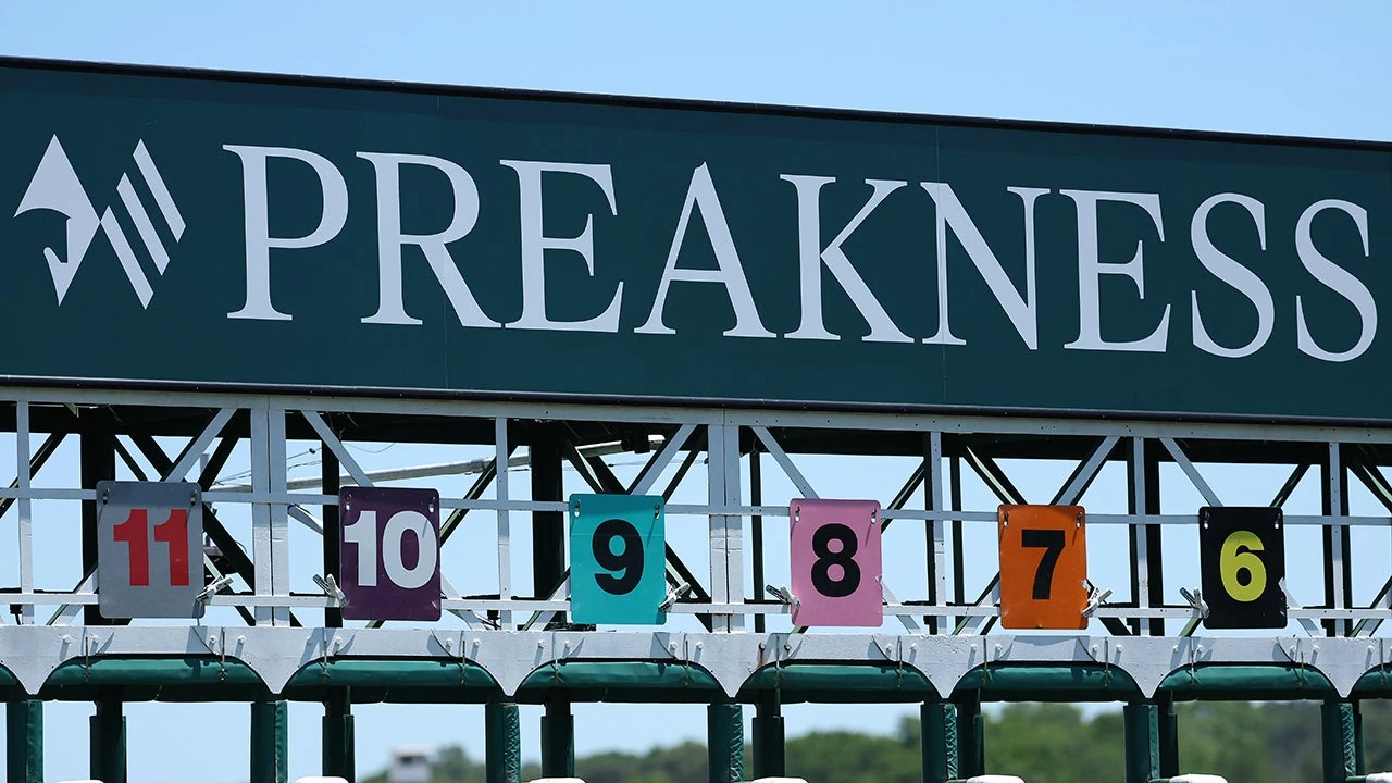 Napoleon Solo wins 151st Preakness Stakes