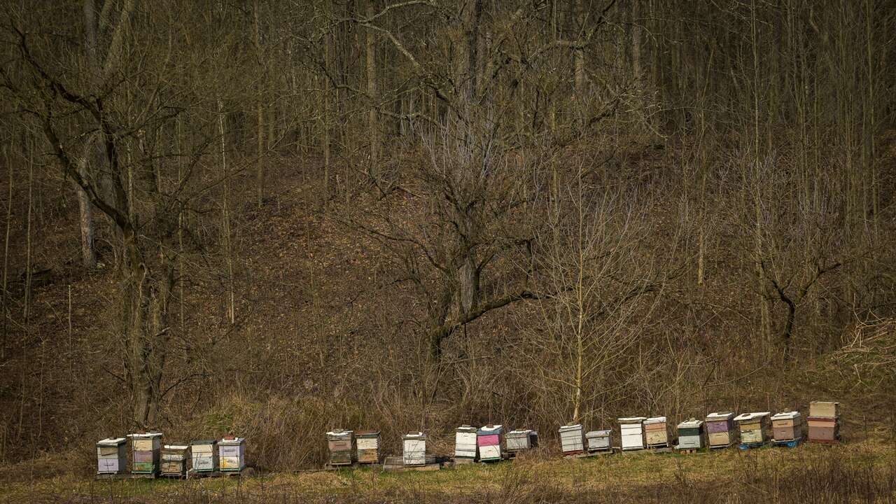 New York lawmakers expand fracking ban to include liquid carbon dioxide