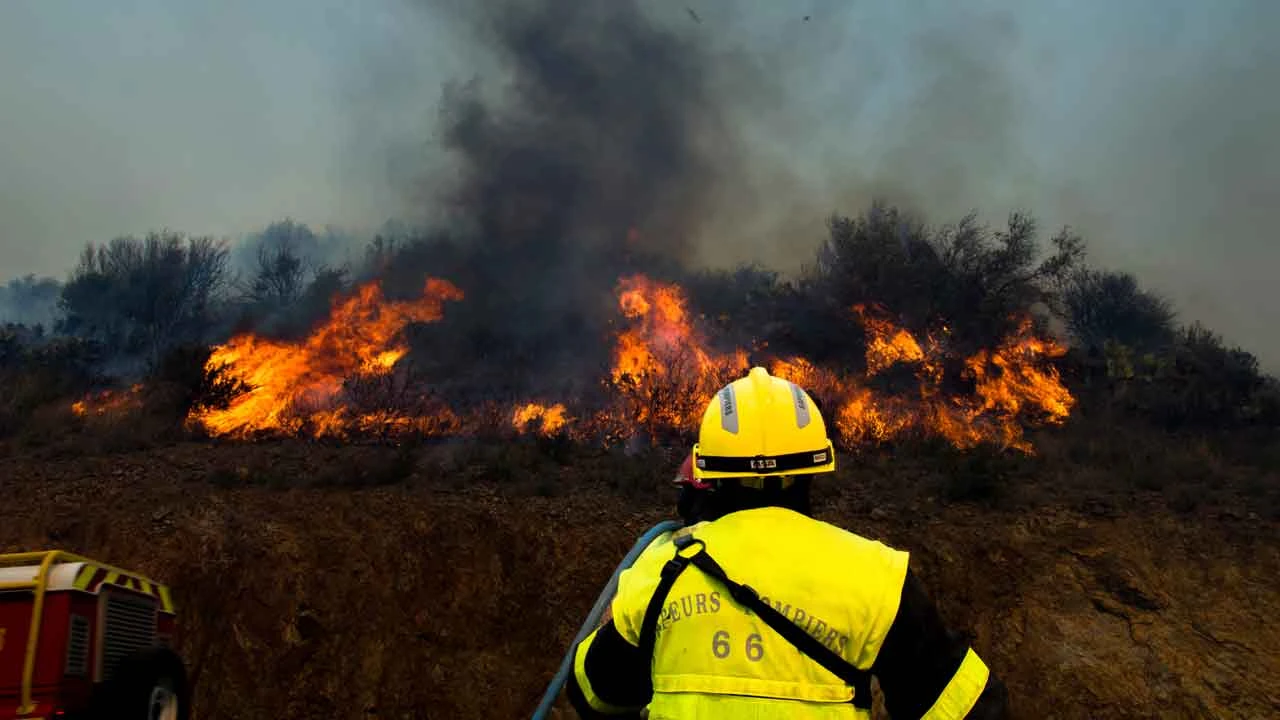 Hundreds of French firefighters battle country's biggest forest fire so far this year