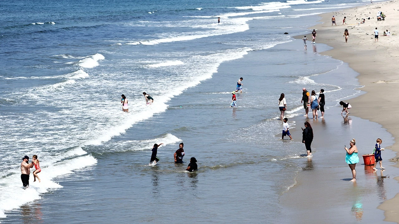 Multiple beaches deemed unsafe as officials issue urgent health warnings to public