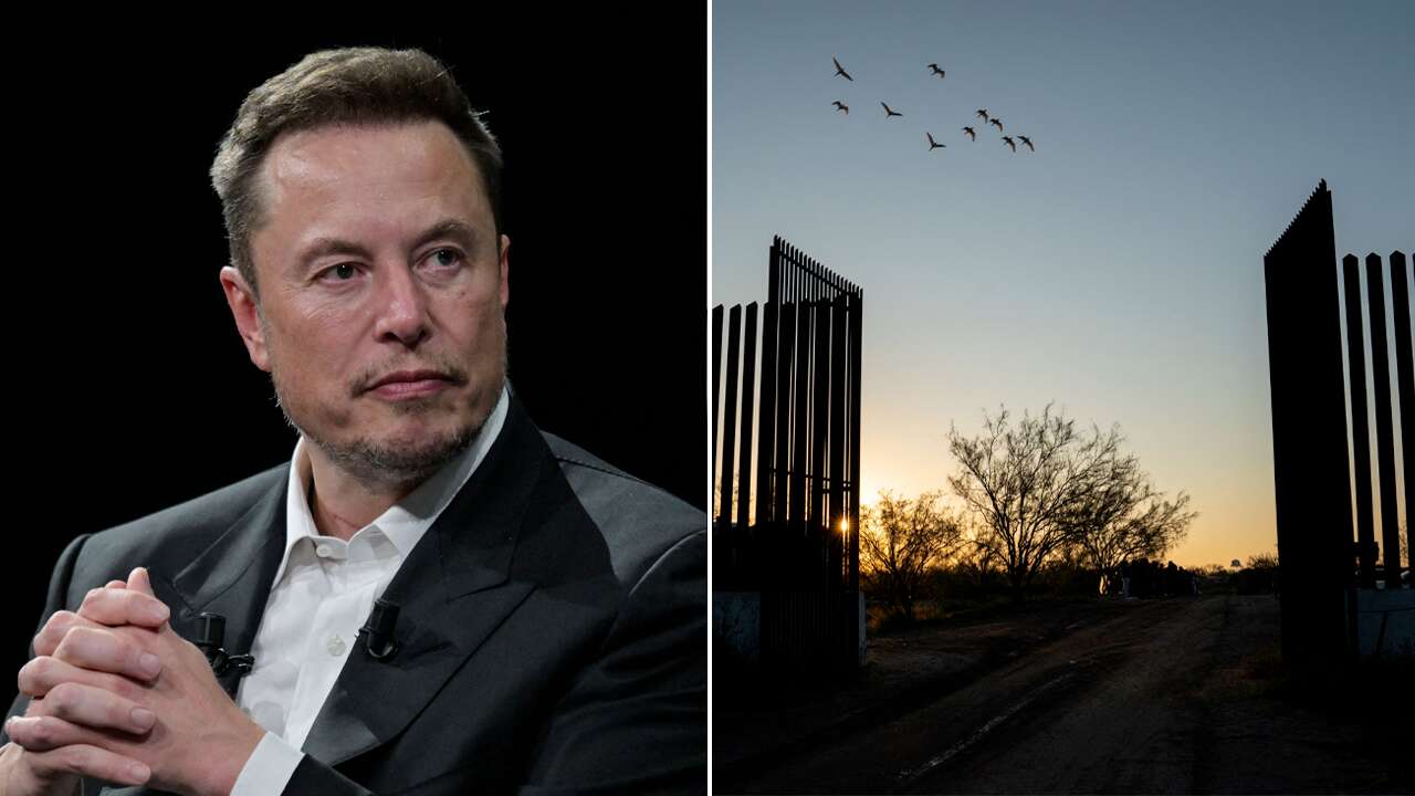 DOGE chief Musk bashes massive government spending on illegal immigrants: ‘Boggles the mind!’