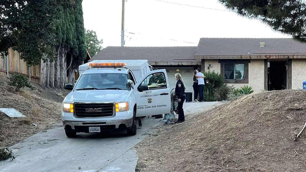 CA teen mauled by 6 of her family's dogs