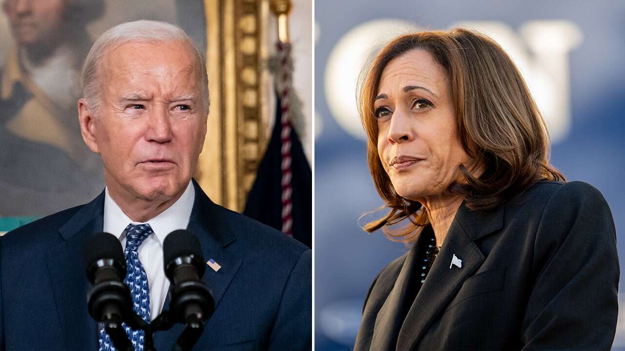 Potential Harris White House murky as VP 'never exhibited a core set of beliefs': Dem strategist