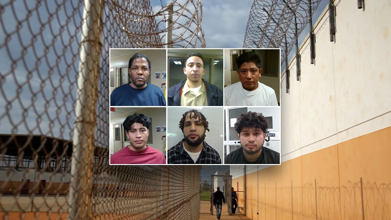 Sexual predators, drug traffickers among ICE's 'worst of the worst' roundup in Virginia