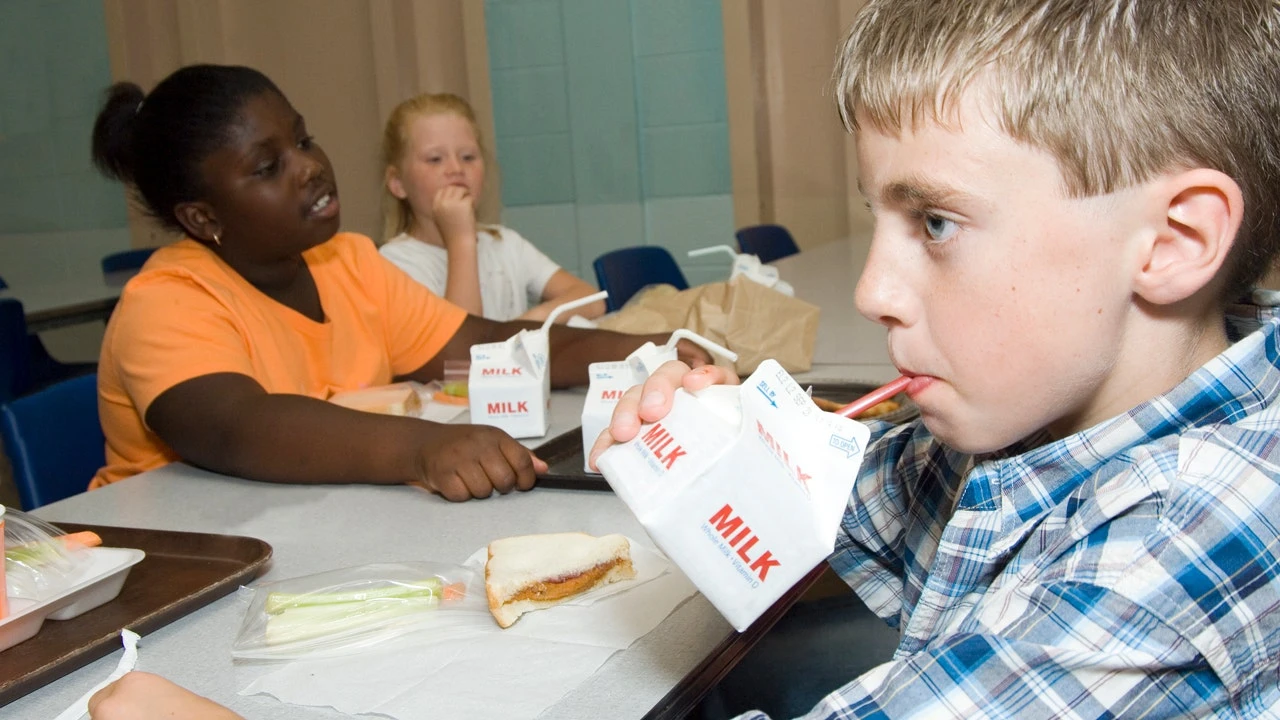 SEC BROOKE ROLLINS: Trump brings whole milk back to schools, undoing Obama’s war on real food