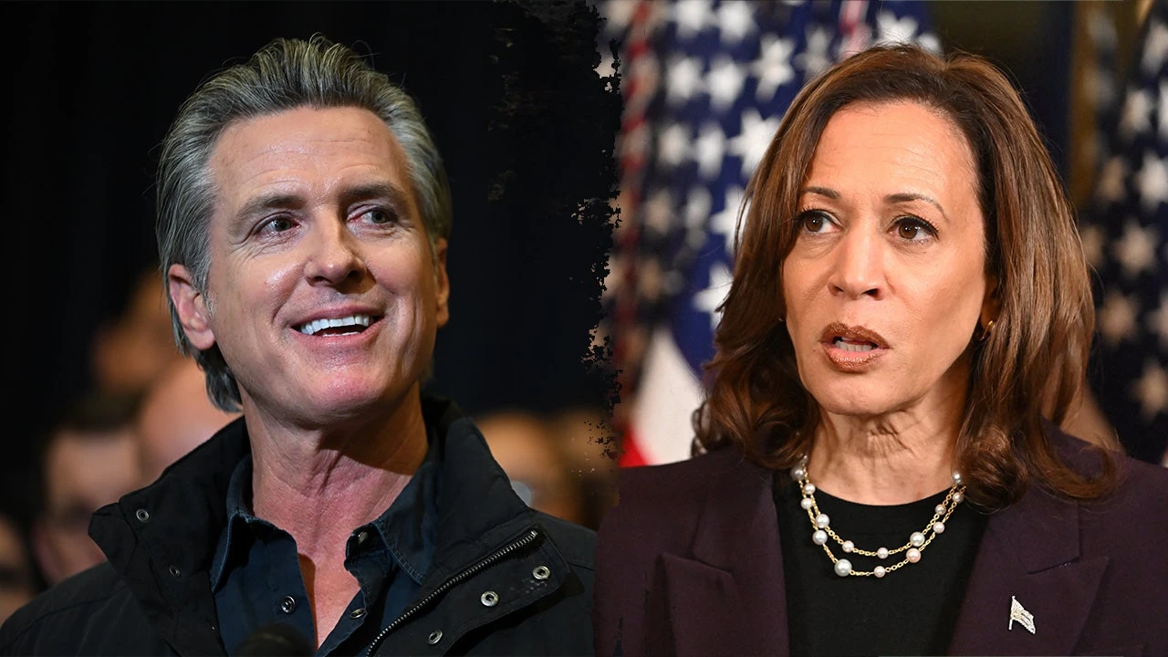 LEE CARTER: I study polling. Democrats are gambling on anti-Trump votes, not ideas