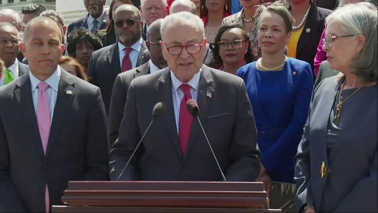 The 'F-word': Schumer says Trump's first 100 days can be distilled to single utterance